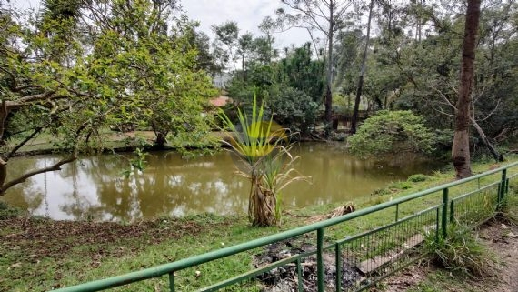 Terreno, 3 hectares - Foto 19