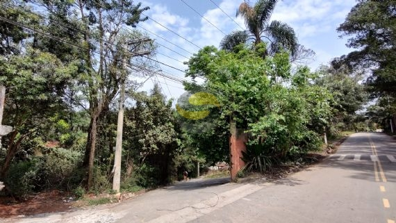 Terreno, 3 hectares - Foto 20