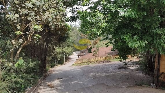 Terreno, 3 hectares - Foto 21