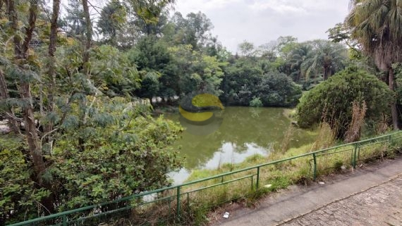 Terreno, 3 hectares - Foto 24