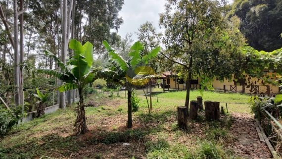 Terreno, 3 hectares - Foto 27