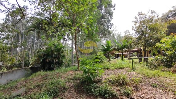 Terreno, 3 hectares - Foto 29