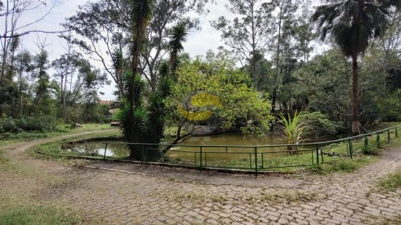 Terreno, 3 hectares - Foto 3