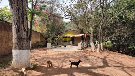 Terreno, 3 hectares - Foto 34
