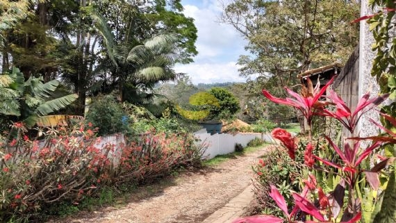 Casa de Condomínio para alugar com 3 quartos, 480m² - Foto 49