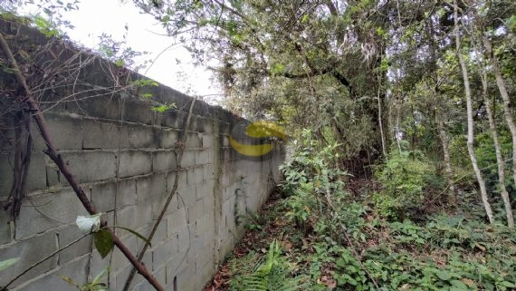 Terreno, 3000 m² - Foto 3