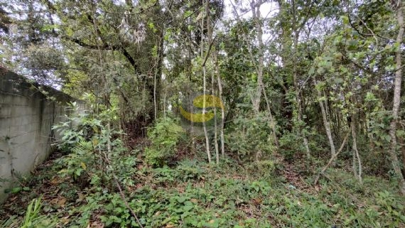 Terreno, 3000 m² - Foto 6