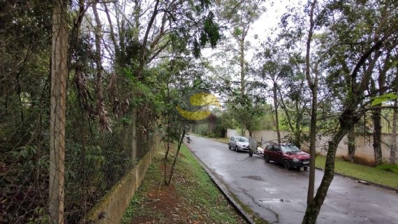 Terreno, 3000 m² - Foto 7