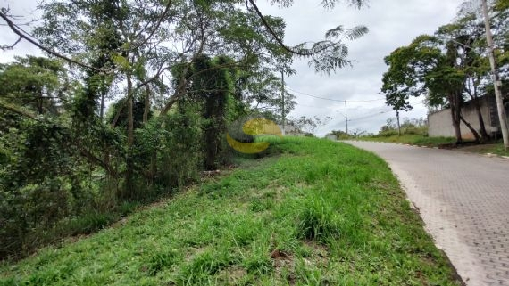 Terreno, 2500 m² - Foto 5