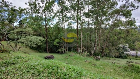 Terreno à venda, 940m² - Foto 4