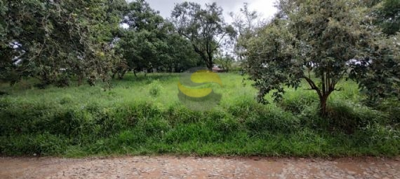 Terreno, 1048 m² - Foto 1