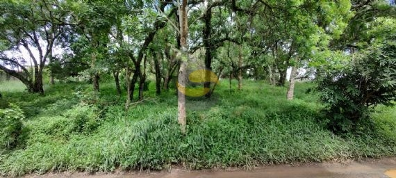 Terreno, 1048 m² - Foto 3