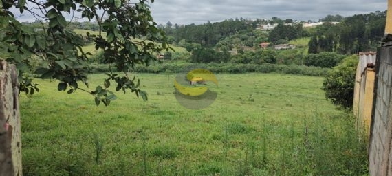 Terreno, 3 hectares - Foto 3