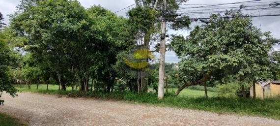 Terreno, 3 hectares - Foto 4
