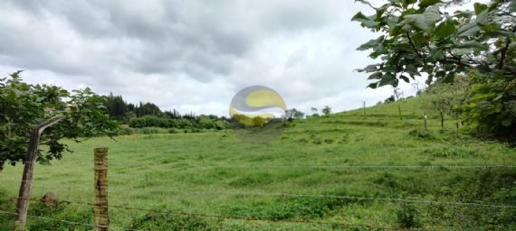 Terreno, 3 hectares - Foto 1