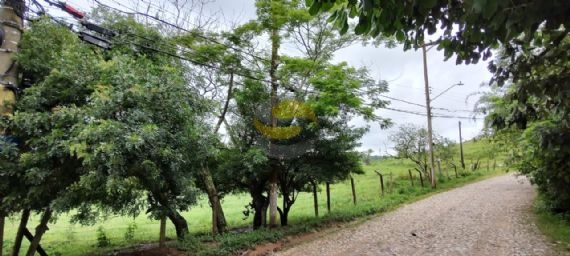 Terreno, 3 hectares - Foto 10