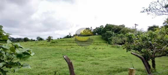 Terreno, 3 hectares - Foto 12