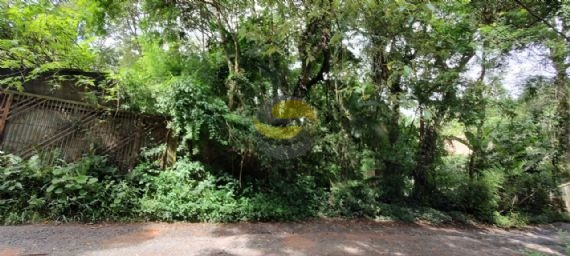 Terreno, 1000 m² - Foto 3