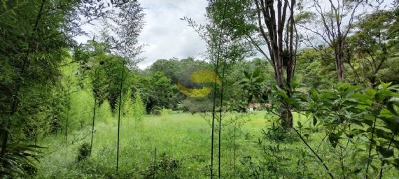 Terreno, 10 hectares - Foto 6