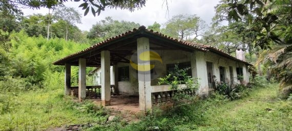 Terreno, 10 hectares - Foto 4