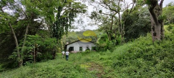 Terreno, 10 hectares - Foto 3
