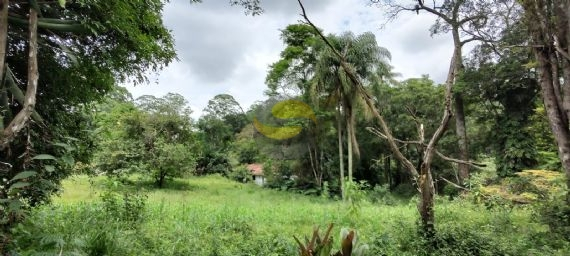 Terreno, 10 hectares - Foto 7