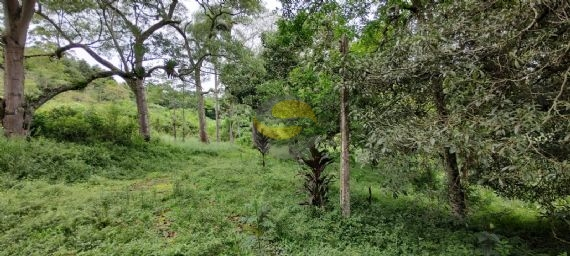 Terreno, 10 hectares - Foto 8