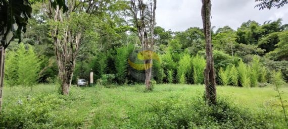 Terreno, 10 hectares - Foto 9