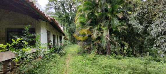 Terreno, 10 hectares - Foto 10