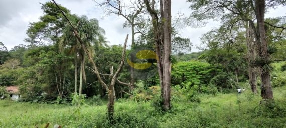 Terreno, 10 hectares - Foto 11