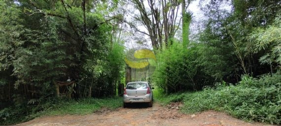 Terreno, 10 hectares - Foto 12