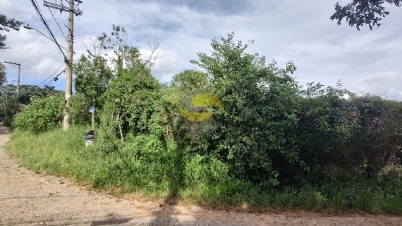 Terreno, 1000 m² - Foto 3