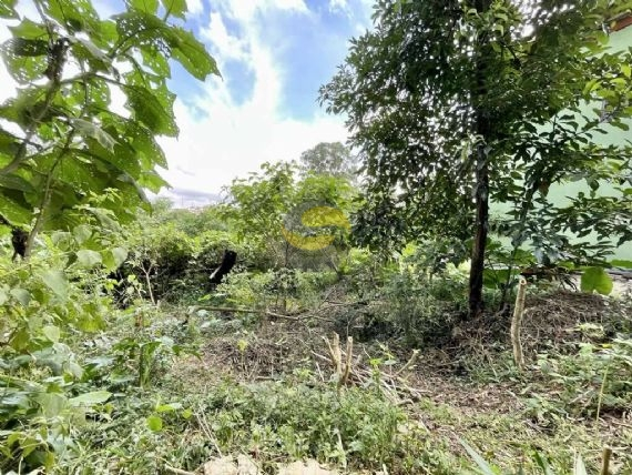Terreno, 907 m² - Foto 6