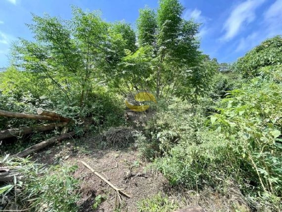 Terreno, 907 m² - Foto 7