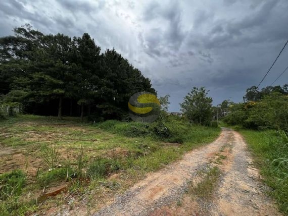 Terreno, 1420 m² - Foto 5