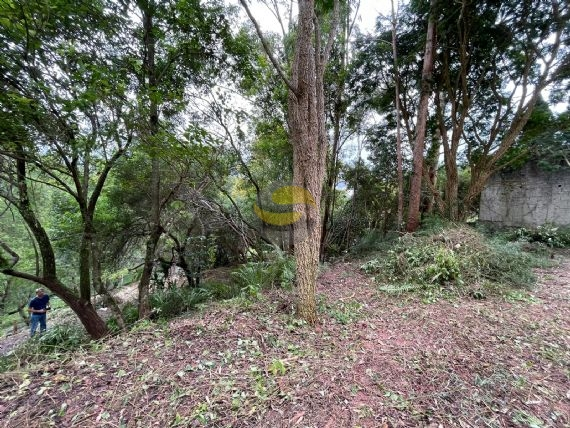 Terreno, 1207 m² - Foto 2