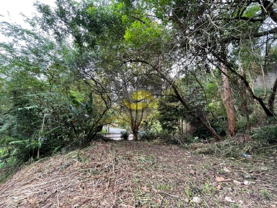 Terreno, 1207 m² - Foto 5