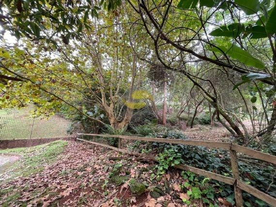Terreno, 1207 m² - Foto 6
