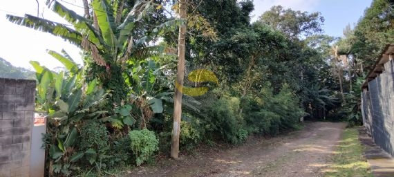 Terreno, 1000 m² - Foto 3