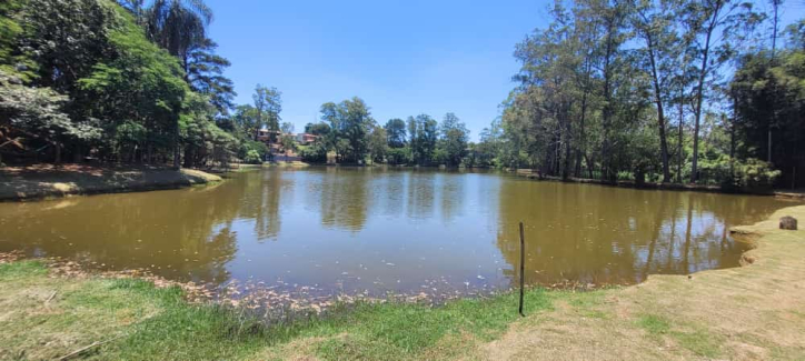 Terreno, 500 m² - Foto 1