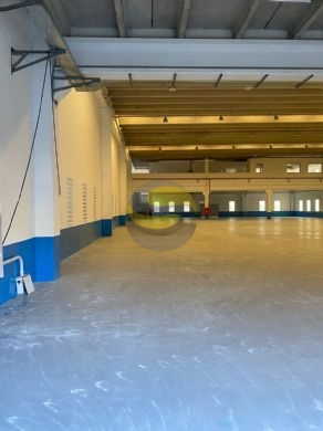 Depósito-Galpão, 2572 m² - Foto 7