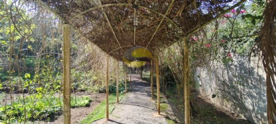Terreno, 1826 m² - Foto 18
