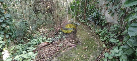 Terreno, 2560 m² - Foto 17