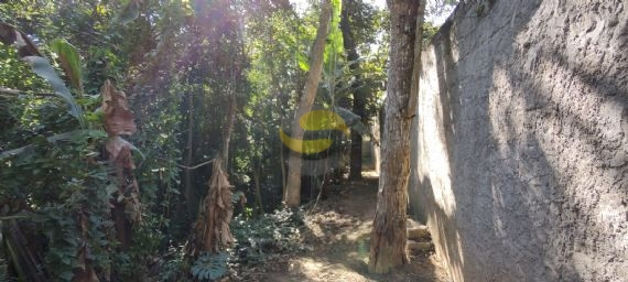 Terreno, 2000 m² - Foto 8