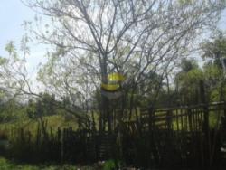 Lote para Venda em Carapicuíba - 5