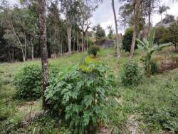 Lote em condomínio para Venda em Cotia - 5