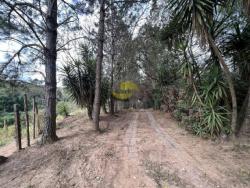 Área para Venda em Cotia - 5