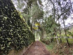 Área para Venda em Cotia - 4