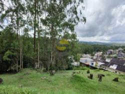 Venda em Jardim Indaiá - Embu das Artes