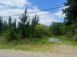 Área para Venda em Cotia - 4